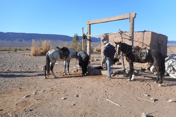 Desert Trail in Morocco on Horseback - Day 2: Tagounite and the open desert