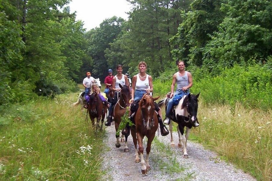 Didim Horse Safari - Why families and first-time riders may like it