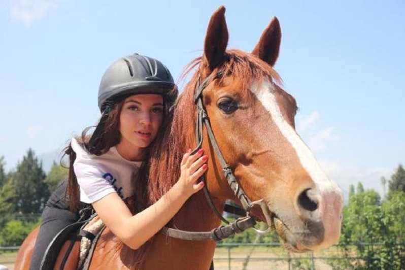 Didim Horse Safari - Getting ready at a 10-stable ranch