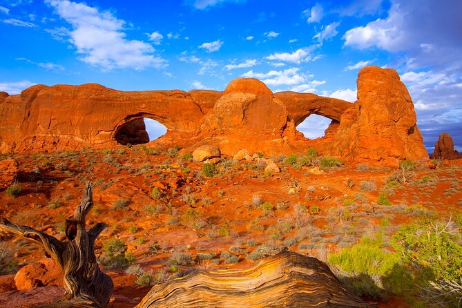 Discover The Best Of Moab In A Day: Arches Canyonlands Dead Horse - The guide makes the busy schedule work