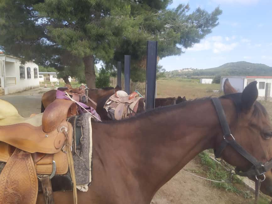 Discover the interior of Valencia on horseback - From Valencia city to Riba-roja del Túria