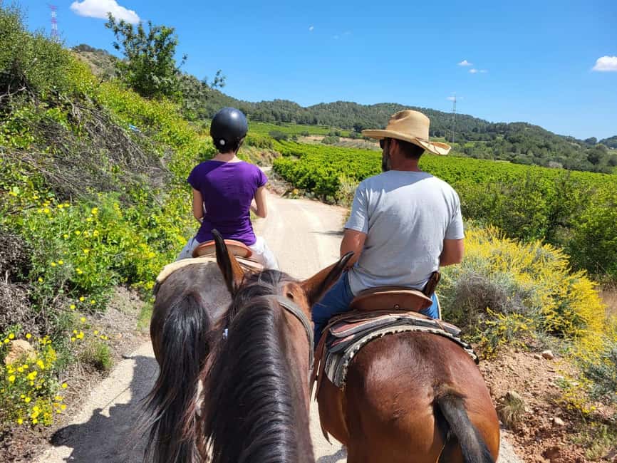 Discover the interior of Valencia on horseback - Two hours through pine, olive, and almond country