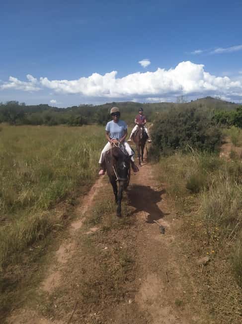 Discover the interior of Valencia on horseback - Planning your day around 150 minutes