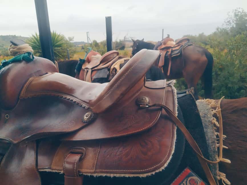 Discover the interior of Valencia on horseback - Who will enjoy this most?