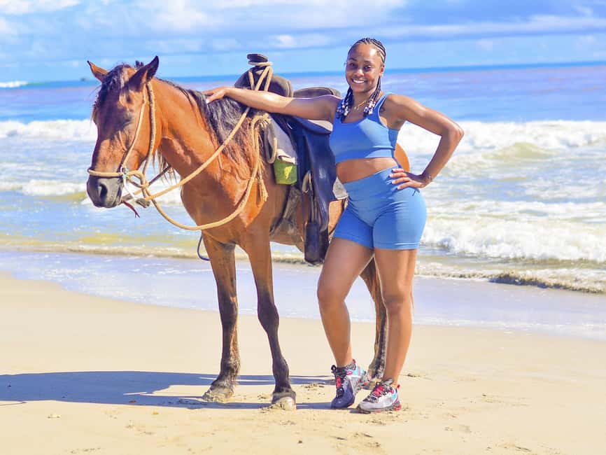Discover the Trails of Punta Cana on a Horseback Ride - What a two-hour Punta Cana ride is really like
