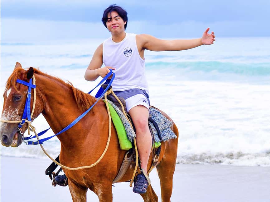 Discover the Trails of Punta Cana on a Horseback Ride - Safety, comfort, and horse welfare