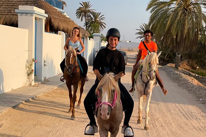 Discovery ride on horseback or camel 2h30 - Horses, Camels, and the Guides