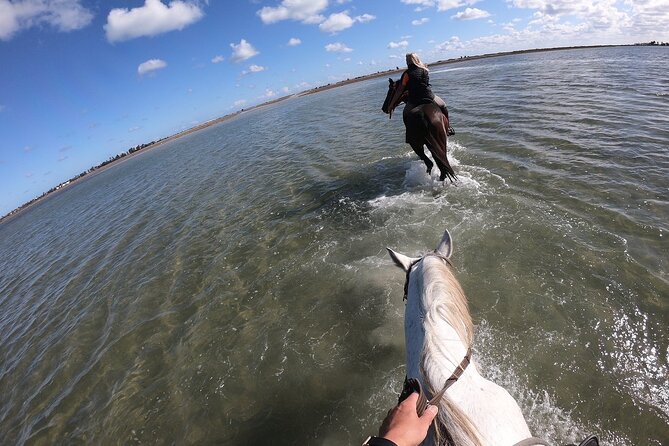Discovery ride on horseback or camel 2h30 - Who Will Get the Most From This Ride