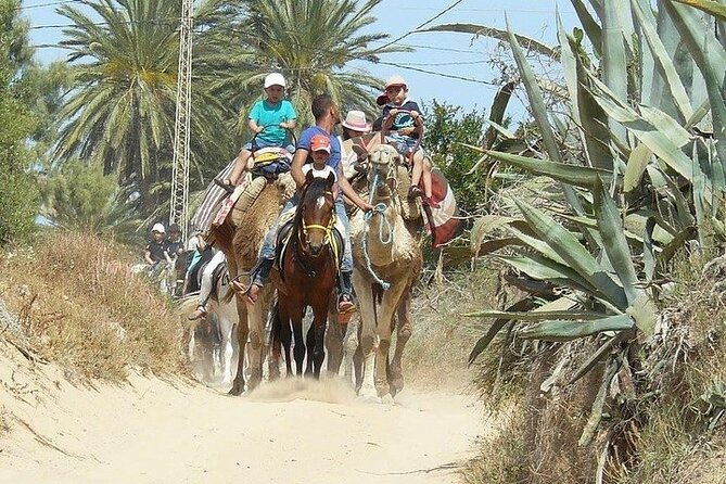 Discovery ride on horseback or camel 2h30 - Is $45.36 a Fair Price?