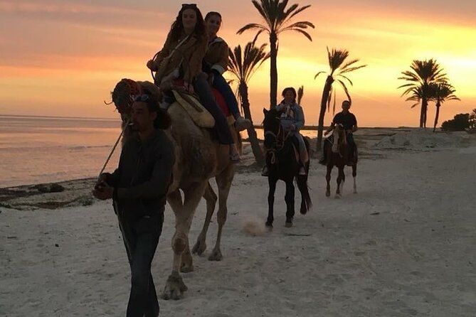 Discovery ride on horseback or camel 2h30 - Should You Book the Djerba Lagoon Ride?