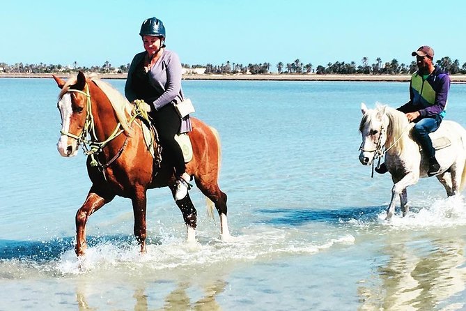 Discovery ride on horseback or camel 2h30 - The Coast and the Quiet Return