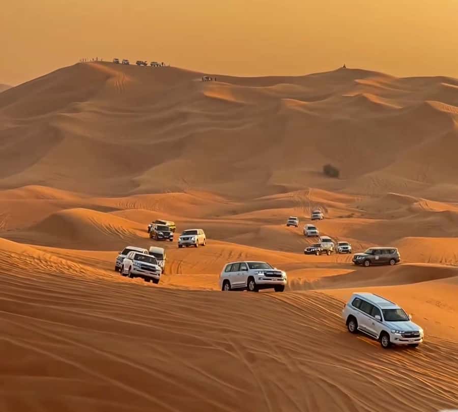 Doha : Arabian Horse Ride Experience With Pickup & Drop Off - Wildlife and the stillness of the sand