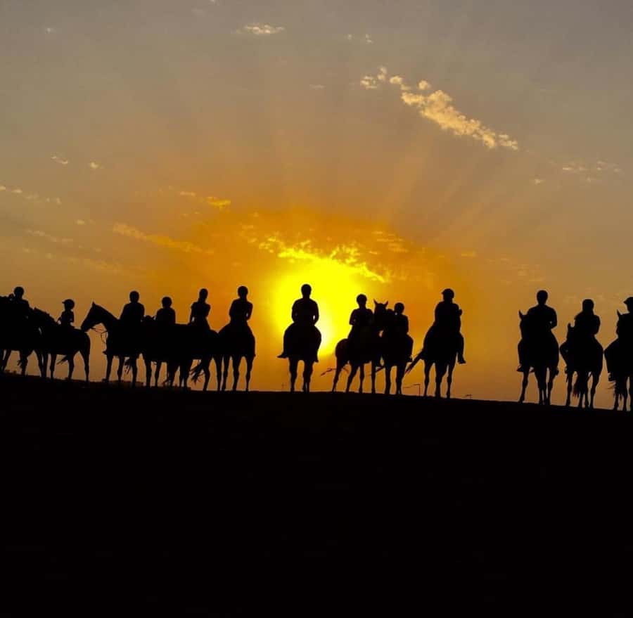 Doha : Arabian Horse Ride Experience With Pickup & Drop Off - Best time to ride and what to wear