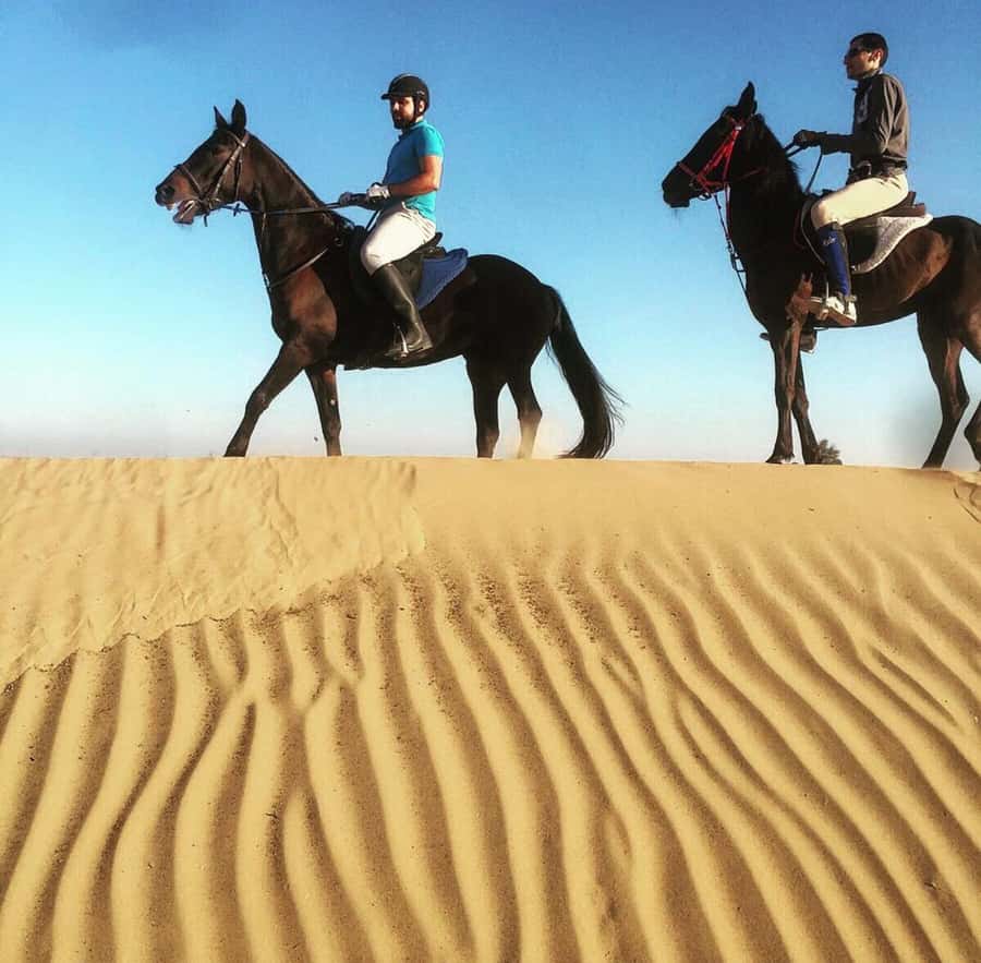 Doha : Arabian Horse Ride Experience With Pickup & Drop Off - Pickup from Doha and the trip to Al Wakrah Municipality