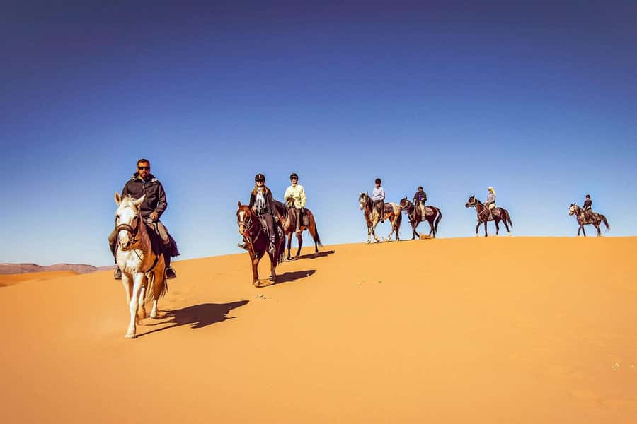 Doha : Arabian Horse Ride Experience With Transfer - Key Points Before You Book