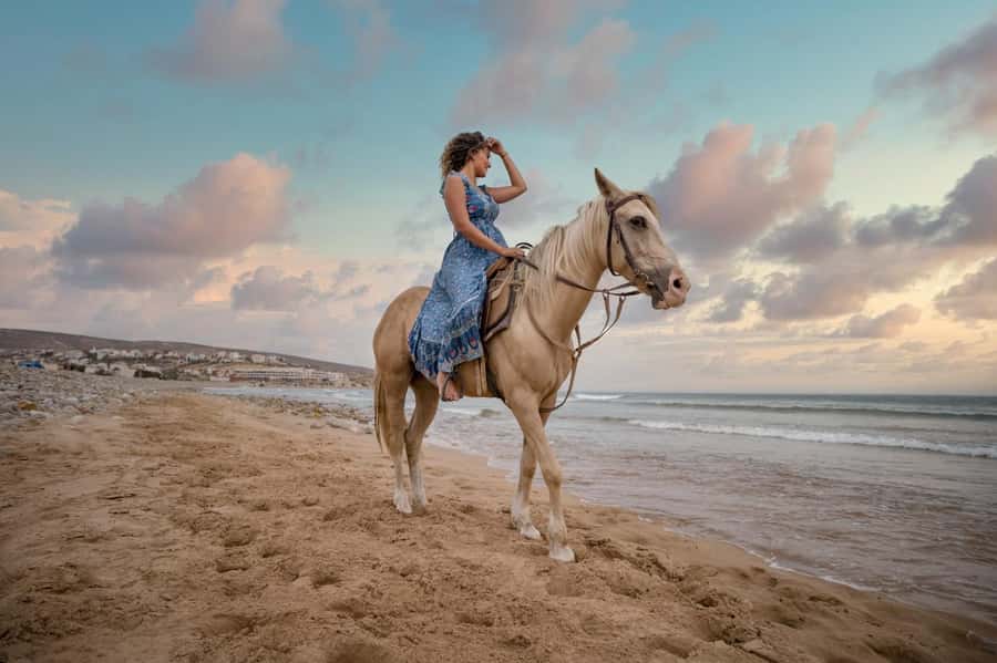 Doha : Arabian Horse Ride Experience With Transfer - Leaving Doha for Sealine