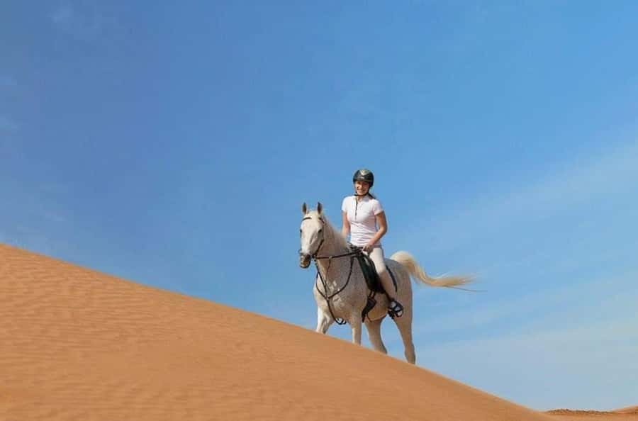 Doha : Arabian Horse Ride Experience With Transfer - What the $169 Price Really Covers
