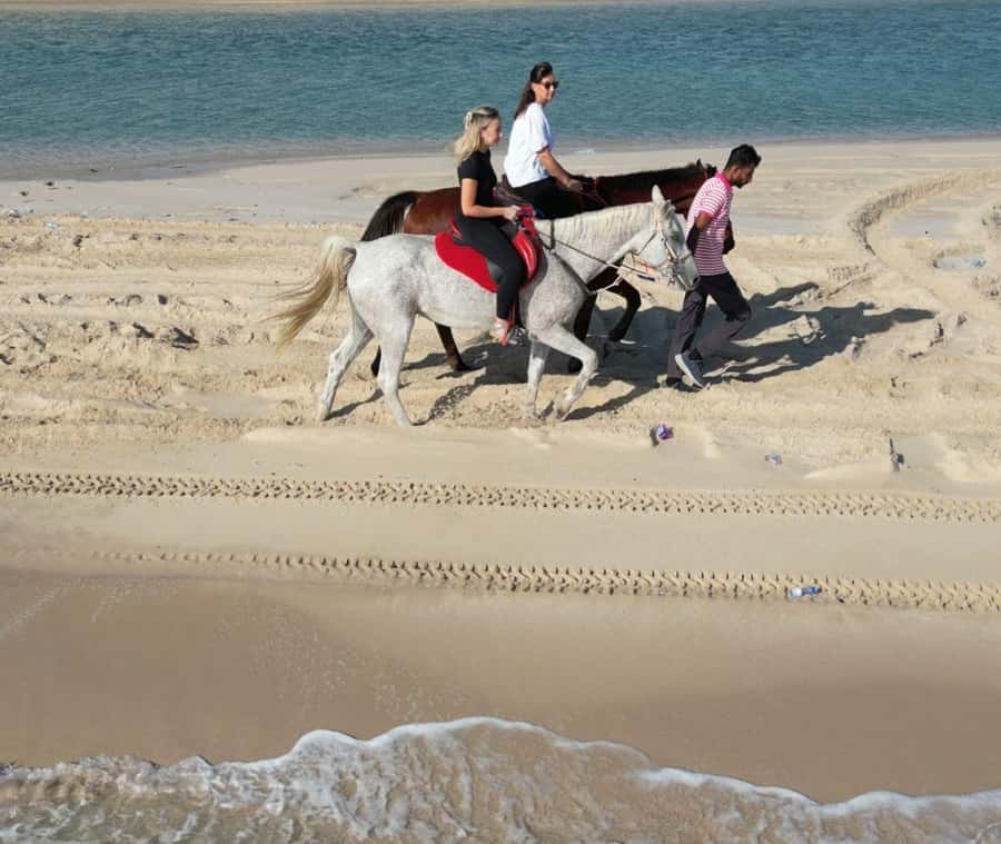 Doha: Arabian Horse Riding Experience –Sea or Desert Options - Key points to know before booking