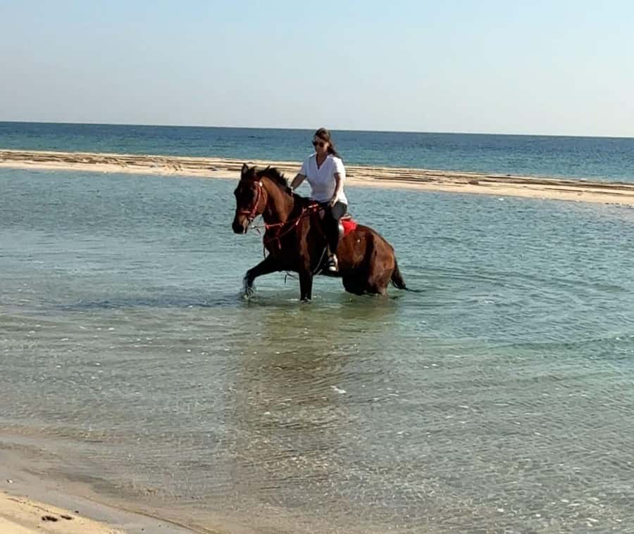 Doha: Arabian Horse Riding Experience –Sea or Desert Options - Choosing between dunes and the seaside