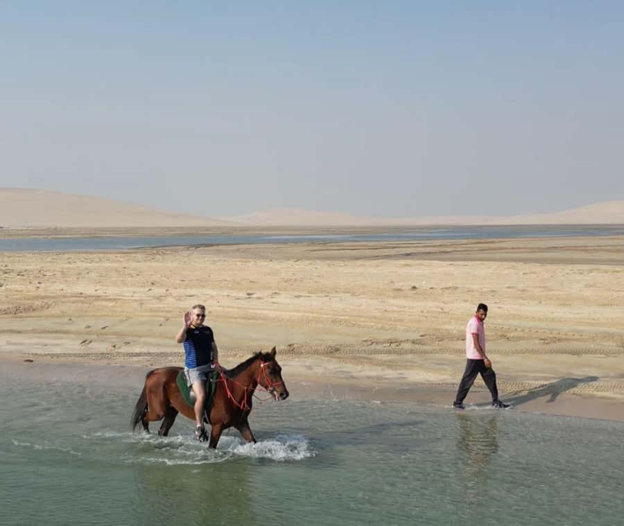 Doha: Arabian Horse Riding Experience –Sea or Desert Options - Meeting the Arabian horses near Mesaieed