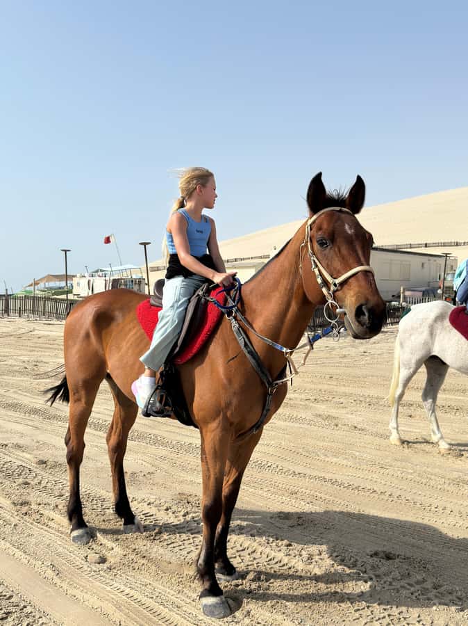 Doha: Arabian Horse Riding Experience –Sea or Desert Options - The one-hour ride: slow pace or faster work