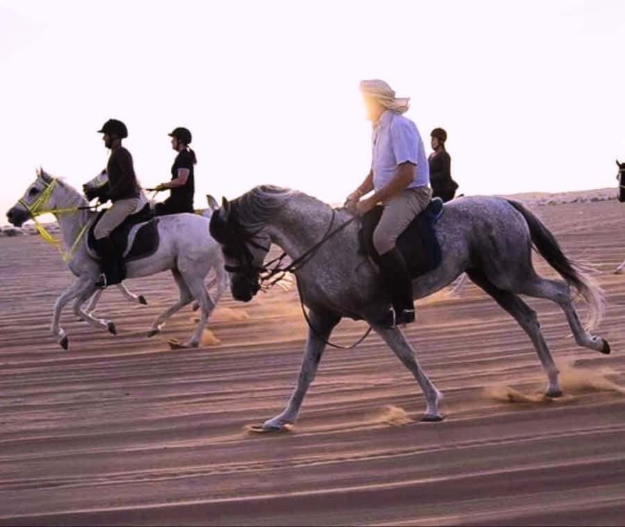 Doha: Arabian Horse Riding Experience –Sea or Desert Options - Arabian riding beside the sea
