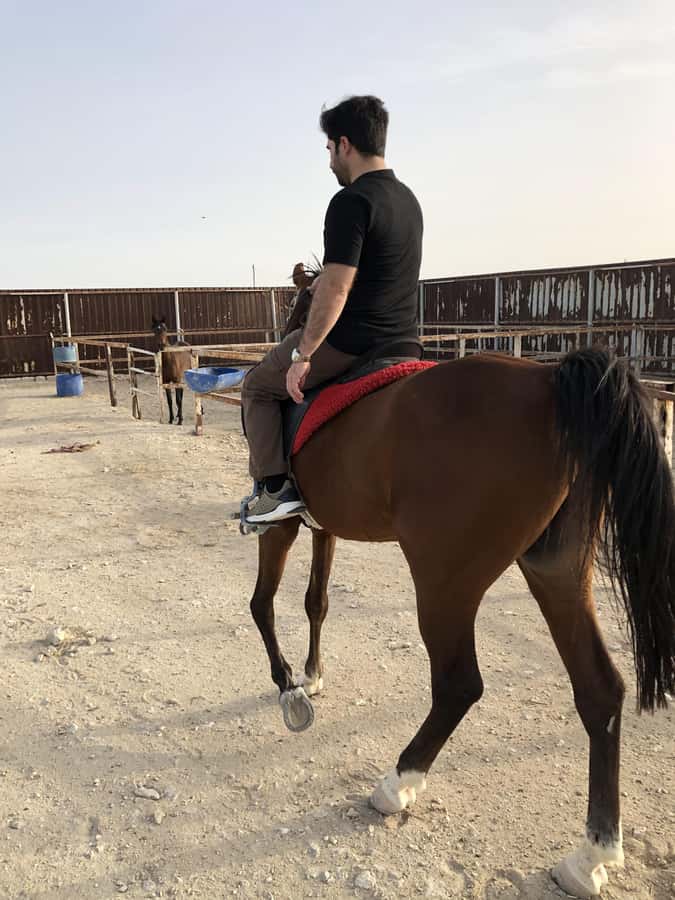 Doha: Arabian Horse Riding Experience –Sea or Desert Options - Riding across the dunes