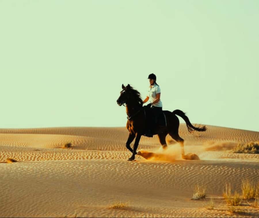 Doha: Arabian Horse Riding Experience –Sea or Desert Options - Guides, photos, and the private feel