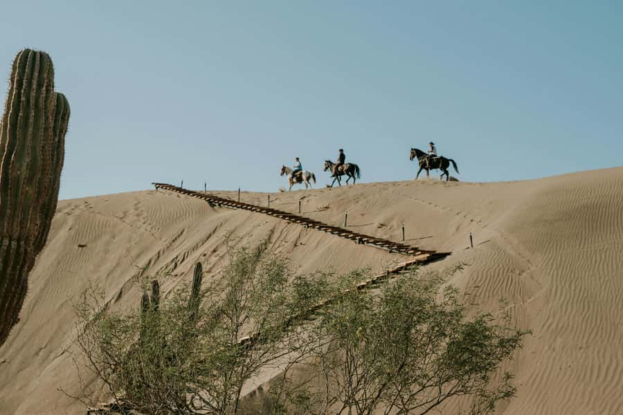 Doha: Arabian Horse Riding Experience –Sea or Desert Options - Is $123 a fair price?