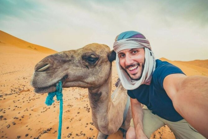 Doha Desert Safari Horse Riding, Camel Ride, ATVs & Inland Sea - Leaving Doha for Sealine Beach