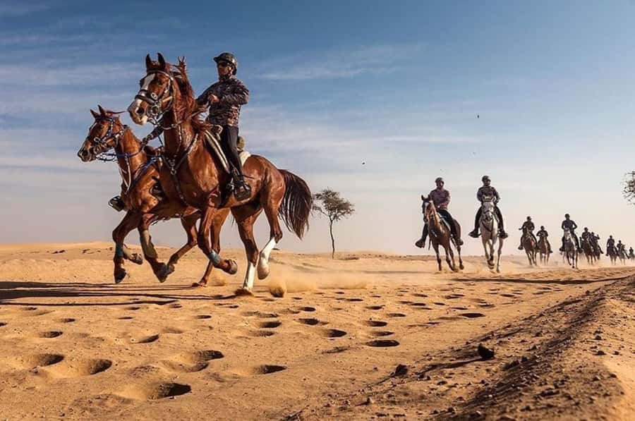 Doha : Horse Riding Tour With Transfer - The drive to the equestrian center