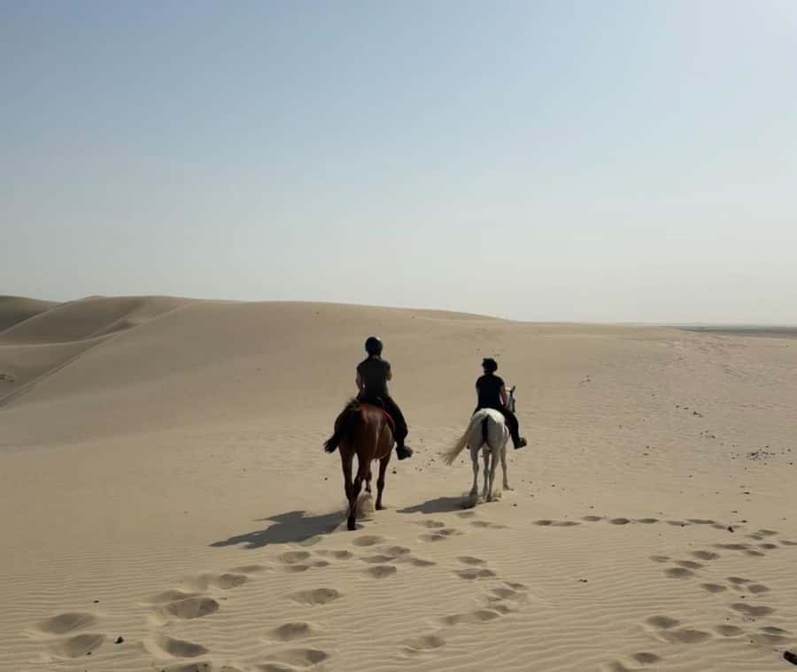 Doha Horseback Riding Adventure in Desert with Transfers - Why horseback riding adds something different to Doha