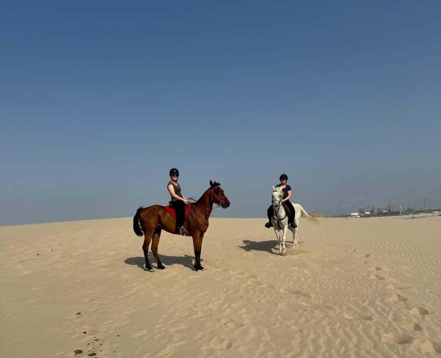 Doha Horseback Riding Adventure in Desert with Transfers - Arabic coffee and a small taste of Qatari culture