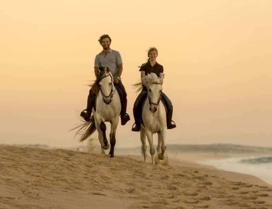 Doha Horseback Riding Adventure in Desert with Transfers - What the $97 price really covers
