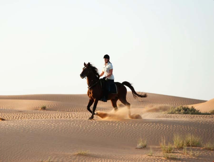 Doha Horseback Riding Adventure in Desert with Transfers - Small details that improve the experience