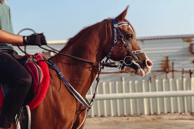 Doha-Private Half Day Safari with Horse Ride/Camel Ride/sandboard - Reaching Mesaieed by private car