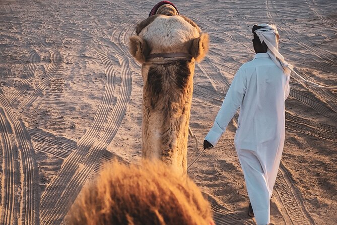 Doha-Private Half Day Safari with Horse Ride/Camel Ride/sandboard - The short camel ride