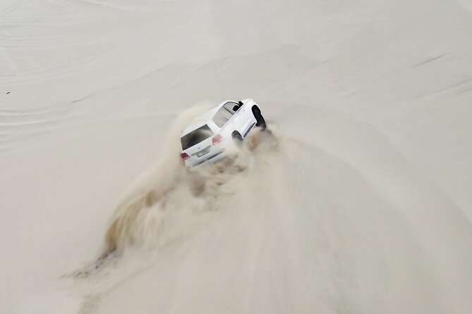 Doha-Private Half Day Safari with Horse Ride/Camel Ride/sandboard - Why the private format affects the value