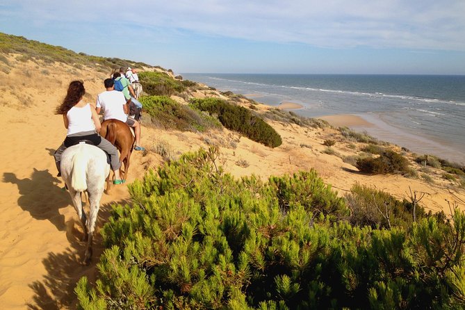 Donana National Park Horse or 4x4 Riding Day Trip - Five things to know before you book