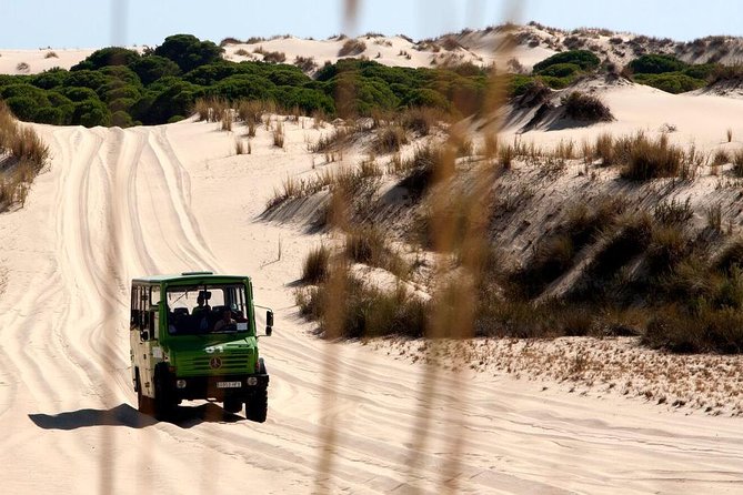 Donana National Park Horse or 4x4 Riding Day Trip - Horseback riding at Hipica Doñana the Pasodoble