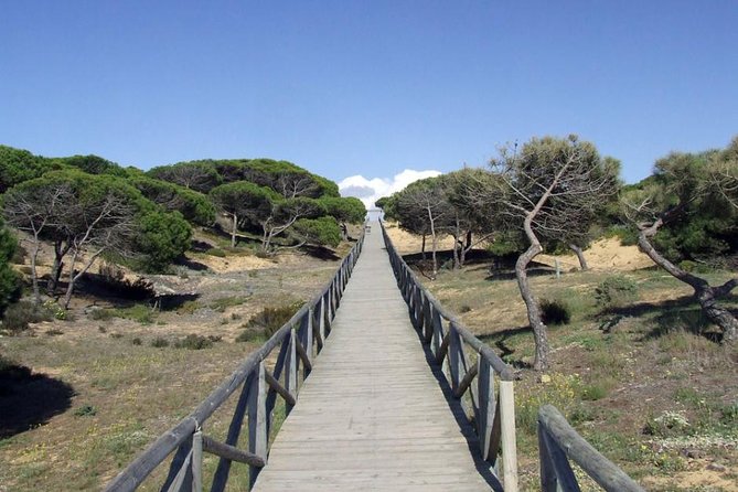 Donana National Park Horse or 4x4 Riding Day Trip - Doñana National Park by 4x4