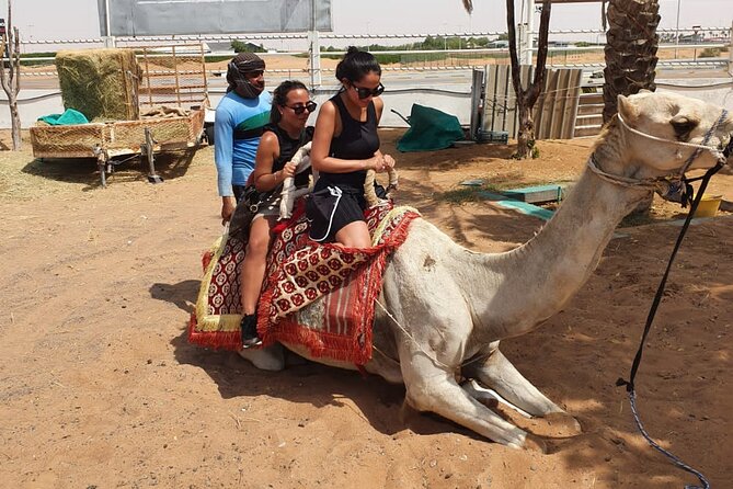 Dubai: All Inclusive Desert Safari with ATV, Camel, Horse ride, Vip & more - BBQ Dinner and the Evening Shows