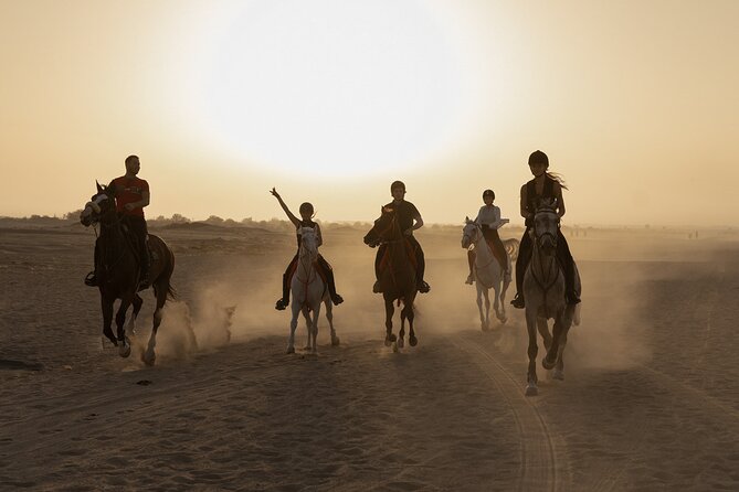 Dubai Desert Horseback Safari with Photoshoot - Key points to know before booking