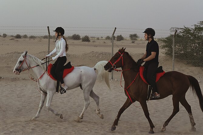 Dubai Desert Horseback Safari with Photoshoot - Starting at JSR Equestrian Club in Al Rowaiyah