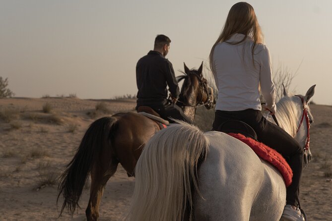 Dubai Desert Horseback Safari with Photoshoot - Who will enjoy this horseback safari