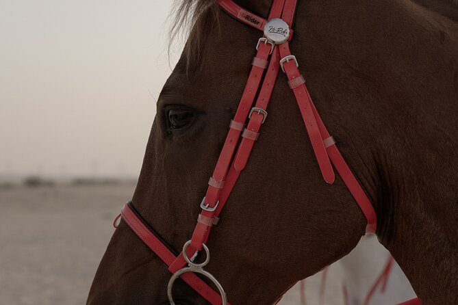 Dubai Desert Horseback Safari with Photoshoot - Practical booking advice for the 4:00 pm start