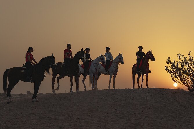 Dubai Desert Horseback Safari with Photoshoot - Meeting the horses before the ride
