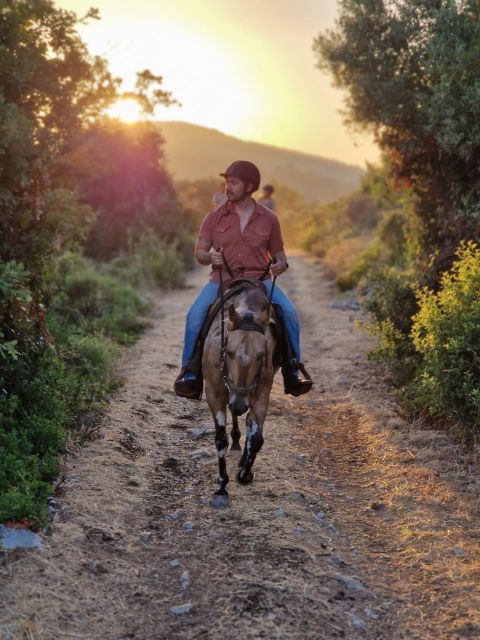 Dubrovnik Kojan Koral: Horseback Riding - Key points to know before you book