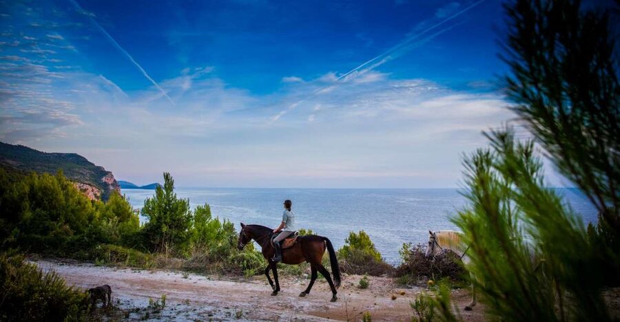Dubrovnik Kojan Koral: Horseback Riding - From Dubrovnik to the Kojan Koral ranch