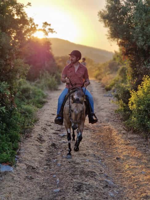 Dubrovnik Kojan Koral: Horseback Riding - Two hours through woodland and rocky ground